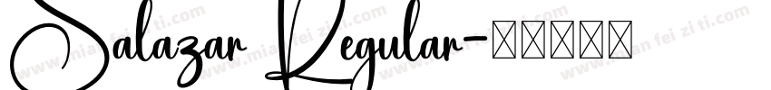 Salazar Regular字体转换